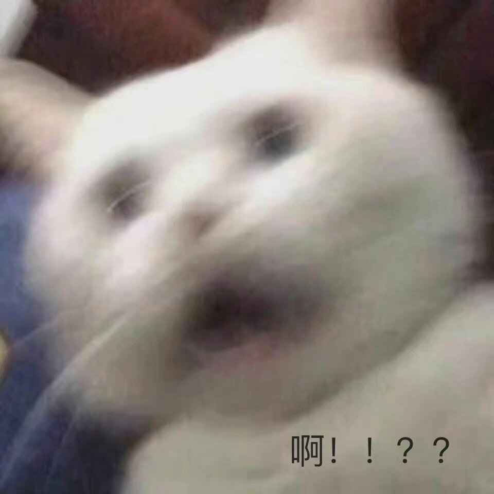 震惊猫猫头表情包