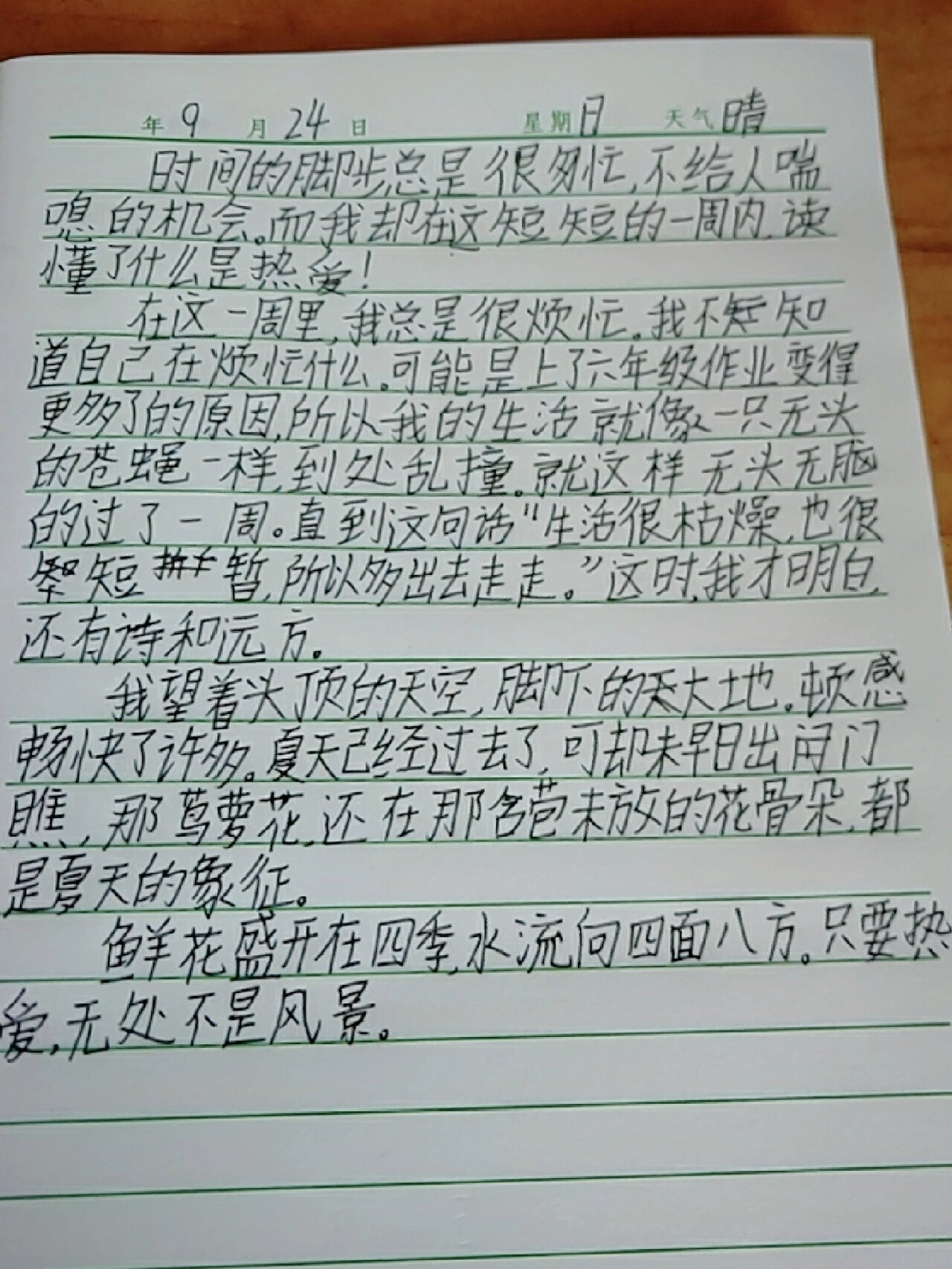 周记300字写周末趣事图片