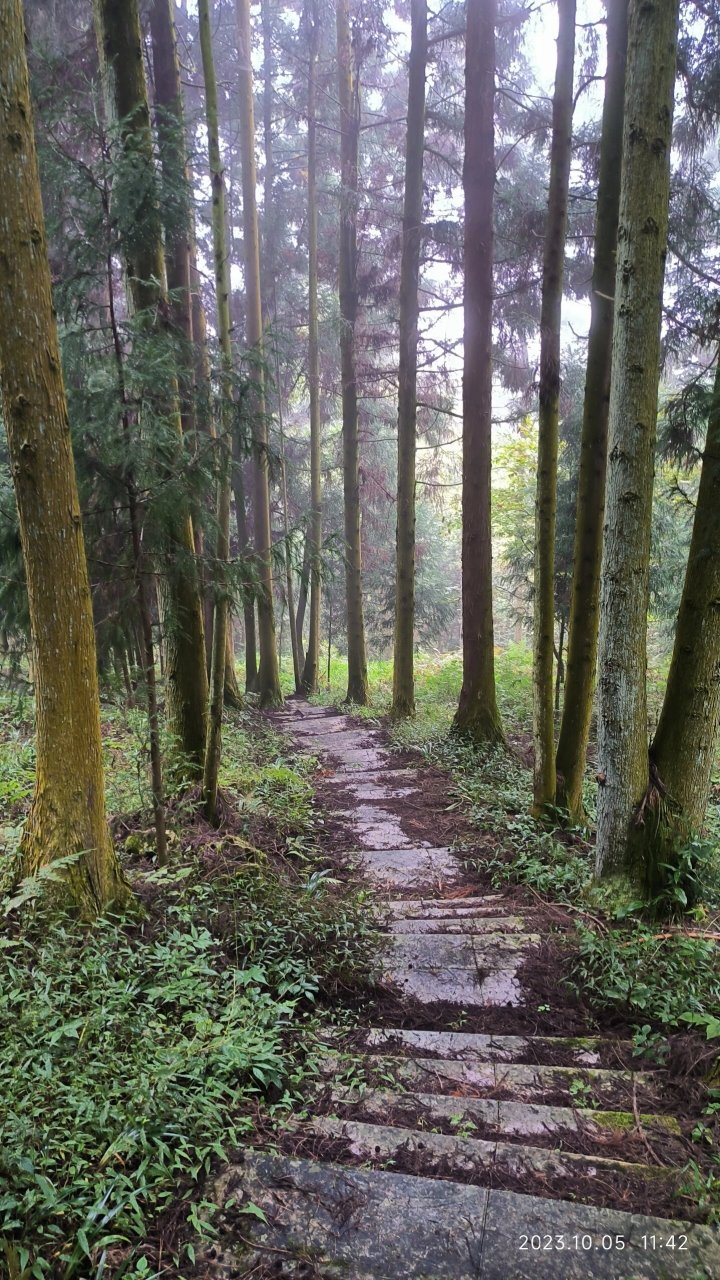 黄石盘龙山公园图片