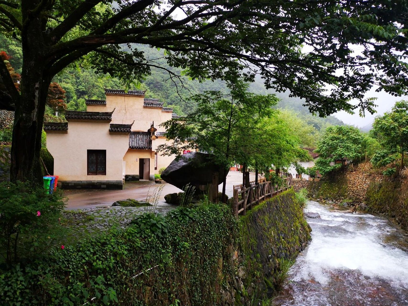 游箬寮原始林 我是第一次听说箬寮这个地方,箬寮原始林景区其实是丽水