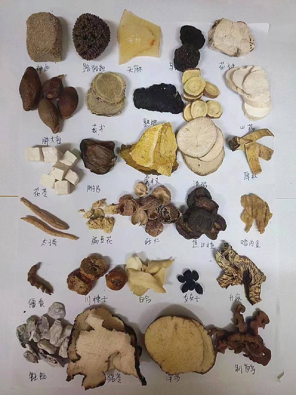 中药房抓药日常