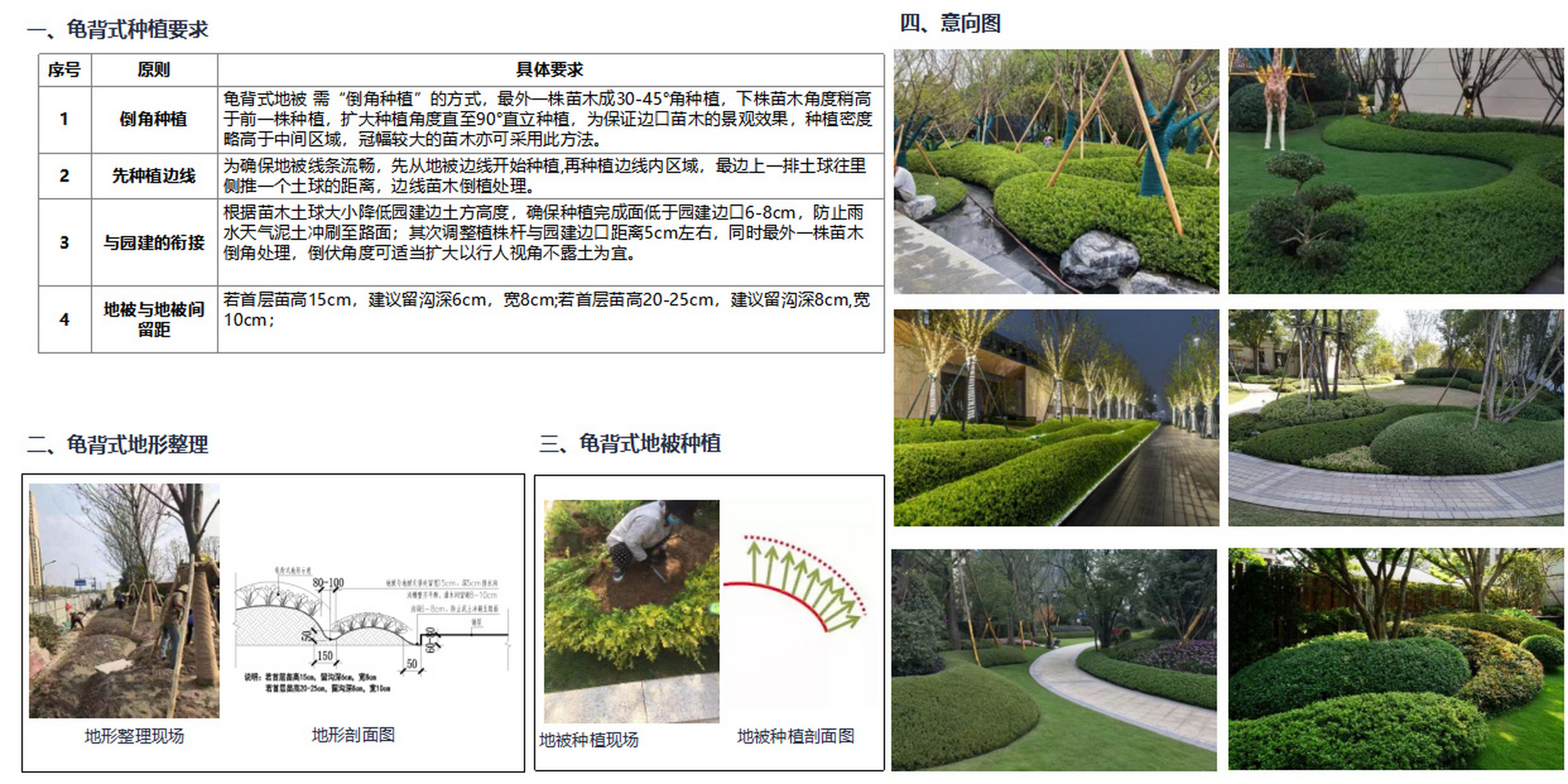 景观地被设计～龟背式地被的种植形式及要求 不定期更新景观绿化设计