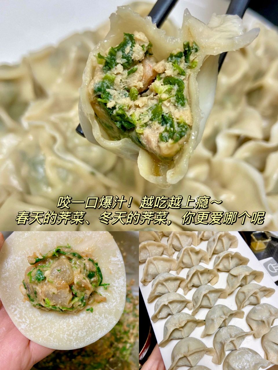 荠菜饺子寓意图片