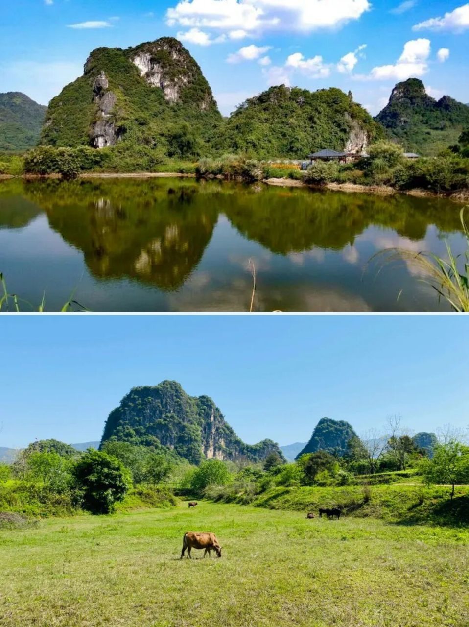 英西峰林这宝藏地太适合秋天啦 藏在清远英德的"广东小桂林",一定能