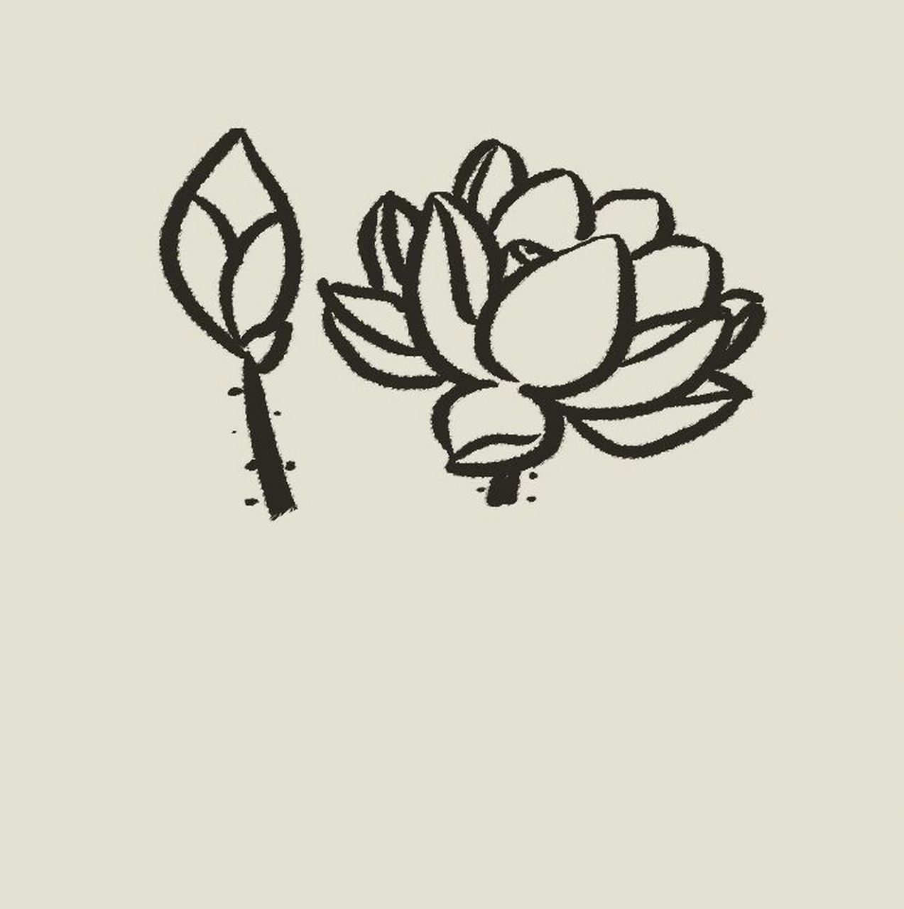 美丽的荷花(简笔画步骤) 夏至晴好日渐长,万物繁盛绿成裳