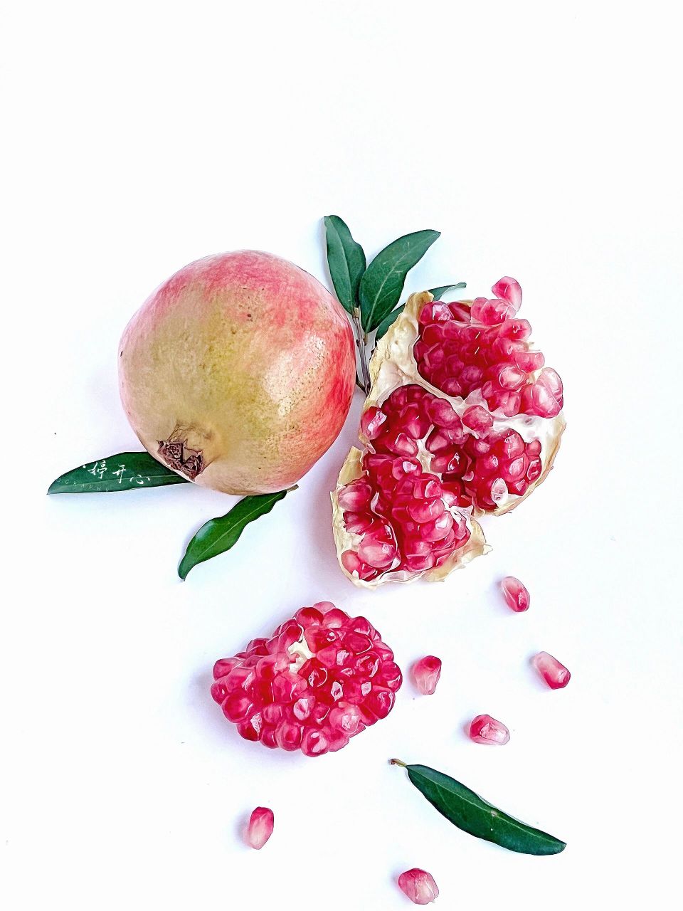 绘画素材1000篇—石榴素材库    绘画素材1000篇—石榴素材库