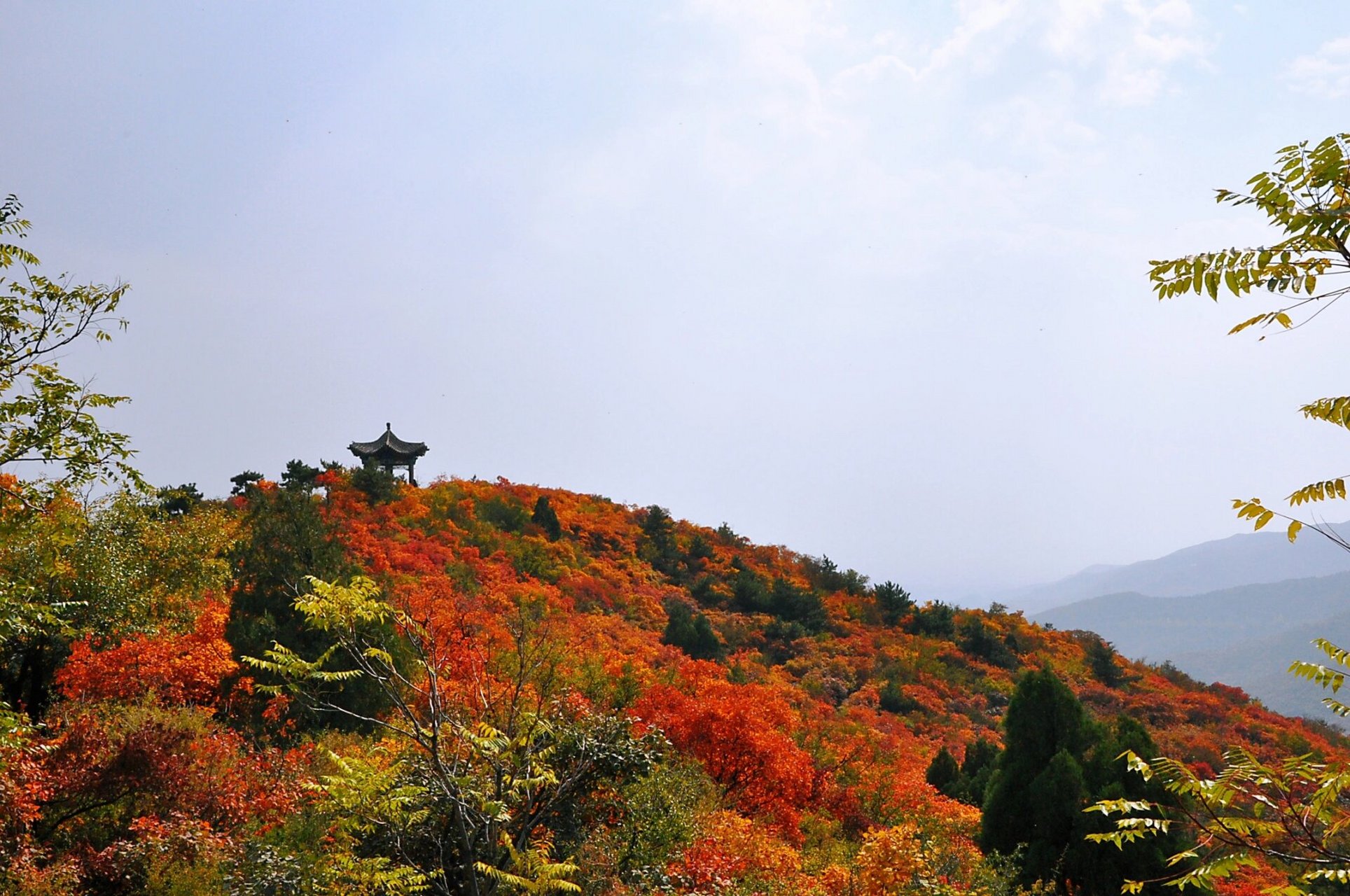 龙山,位于太原市西南二十余公里处,为吕梁山支脉,前连悬瓮山,西接