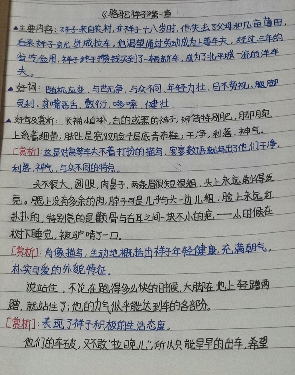 《骆驼祥子》第一章读书笔记 这是我写的《骆驼祥子》第一章的读书