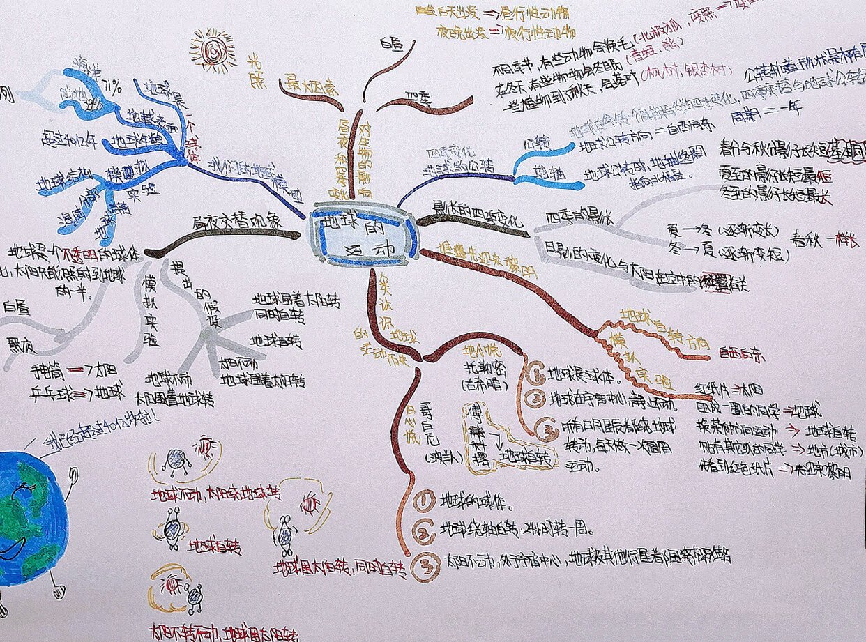 六年级上册科学第二单元思维导图