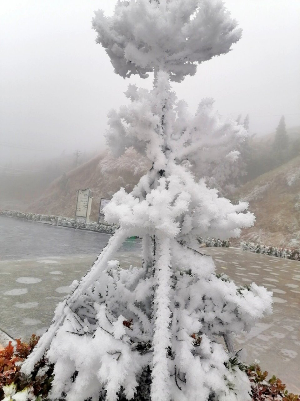 全州天湖雪景图片图片