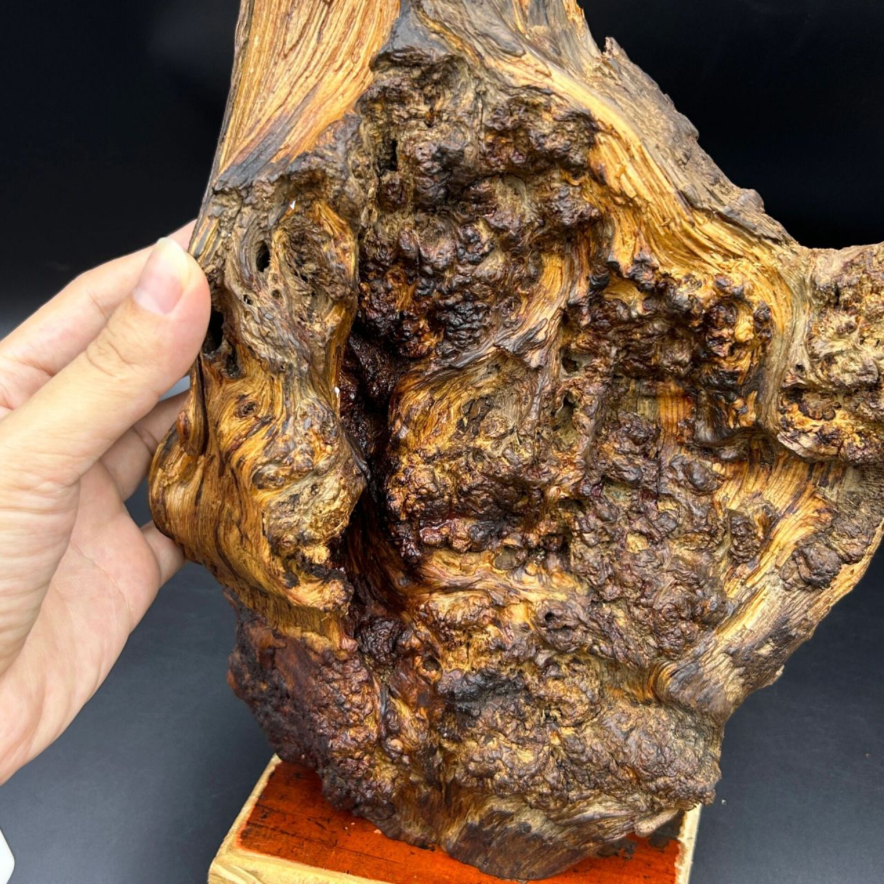 雷击沉香,也算雷击木吧?