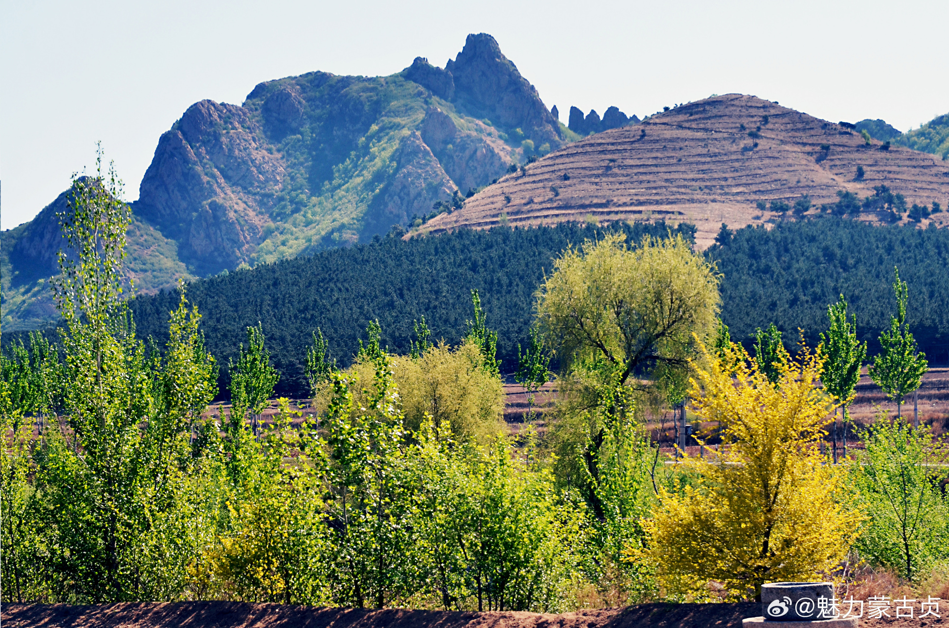 网红打卡地辽宁杠杠滴##美好辽宁欢迎您# 阜新镇骆驼山