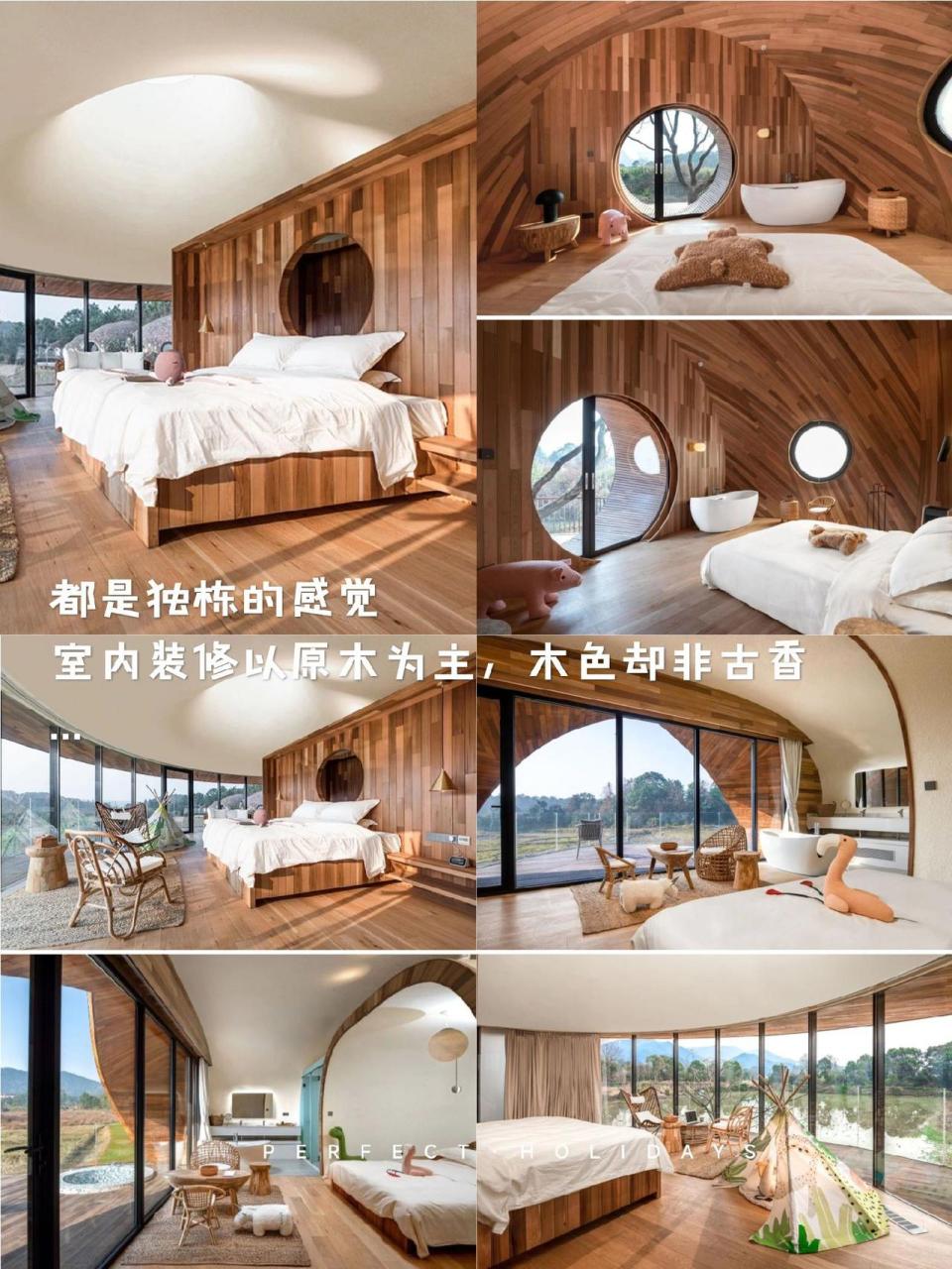 带你去一个很有特色的民宿酒店,江西新余仙女湖的树蛙部落酒店!