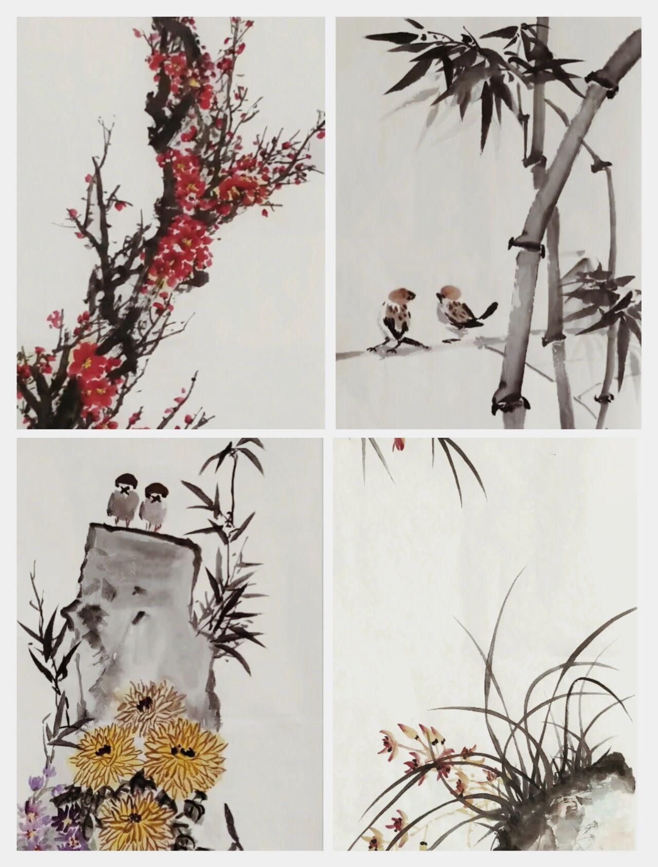 国画‖梅兰竹菊四君子