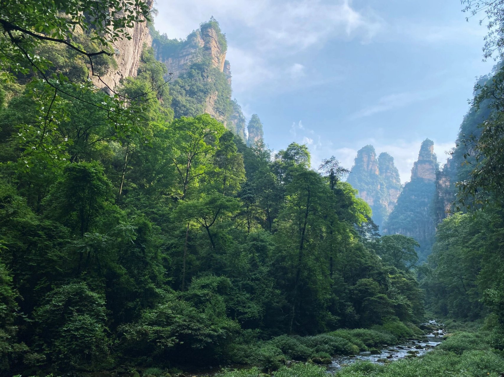 让人头晕的张家界攻略之98武陵源6015 武陵源风景区即张家界