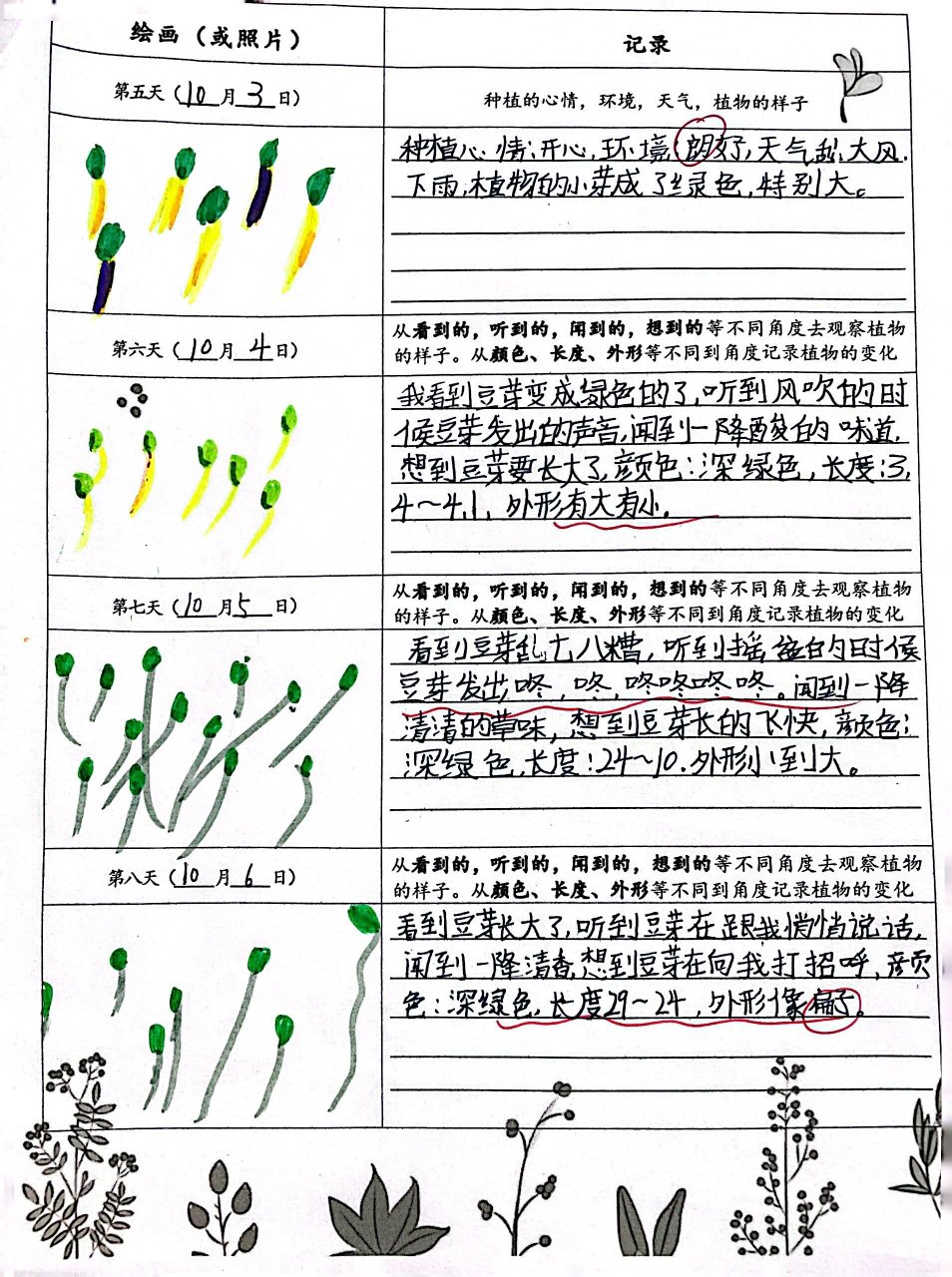 观察日记植物30字图片