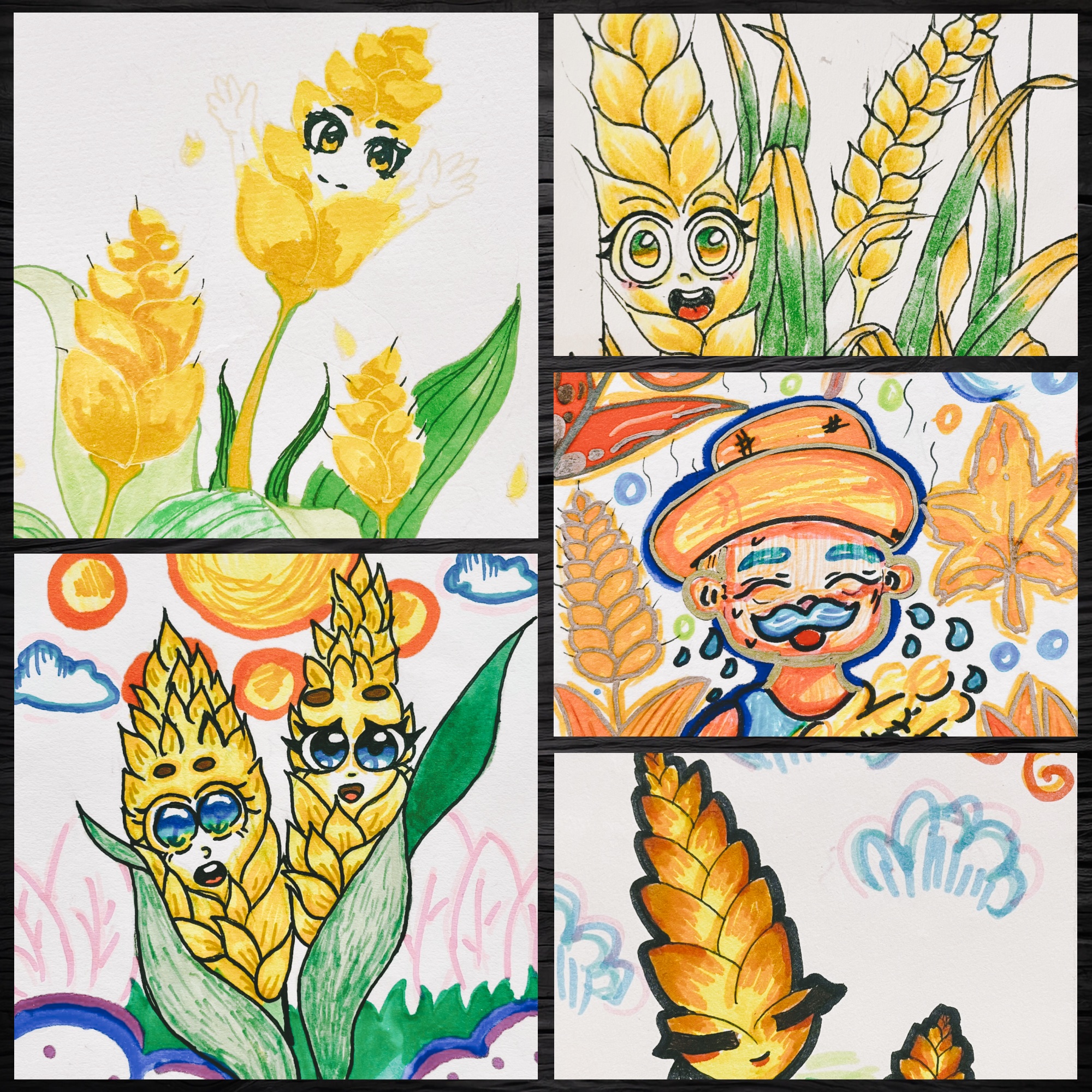 麦子高考命题 画题海战术