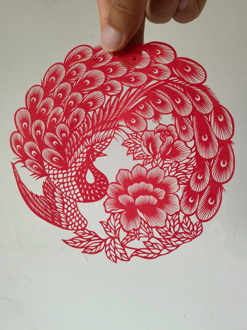 剪纸·孔雀 用剪刻结合的方法制作而成,刻刀雕刻线条细小图案, 剪刀剪