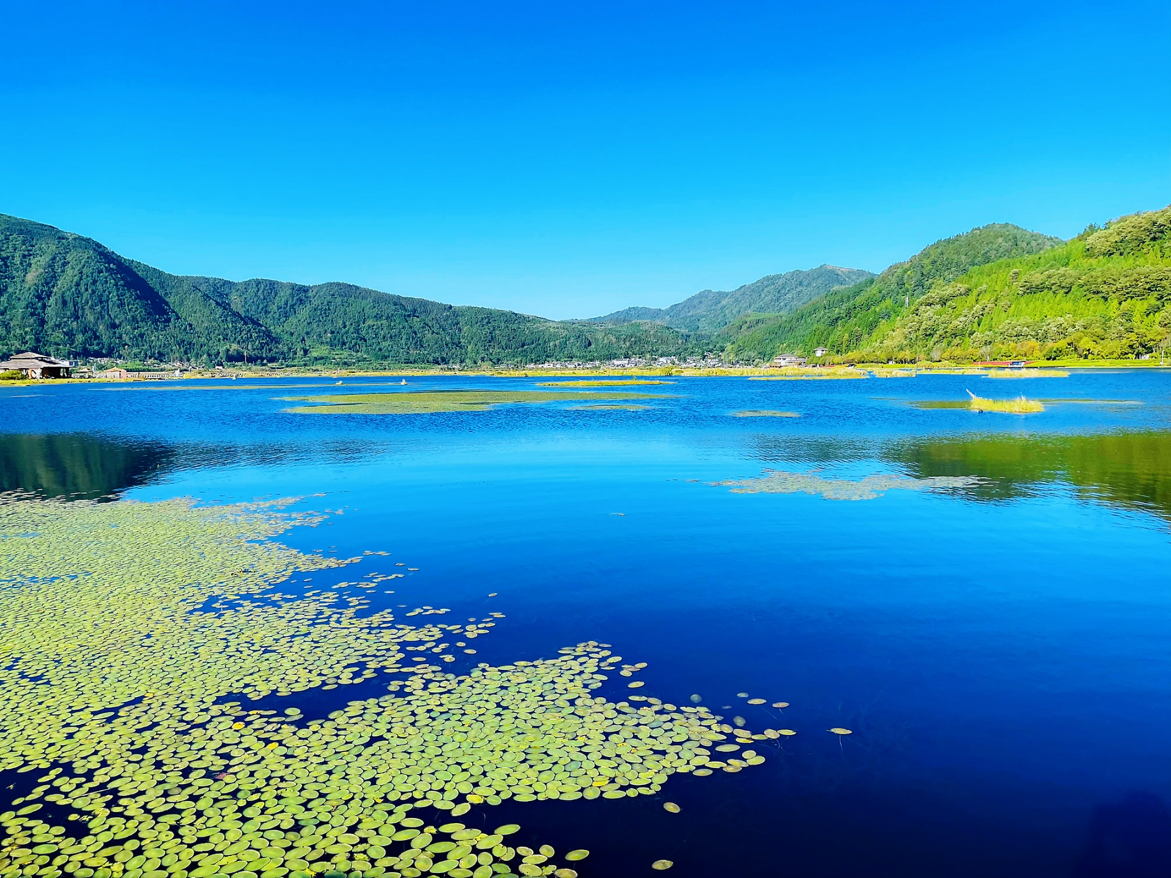 水上草原/北海湿地公园·腾冲 腾冲北海湿地又称草排湿地,我国西南