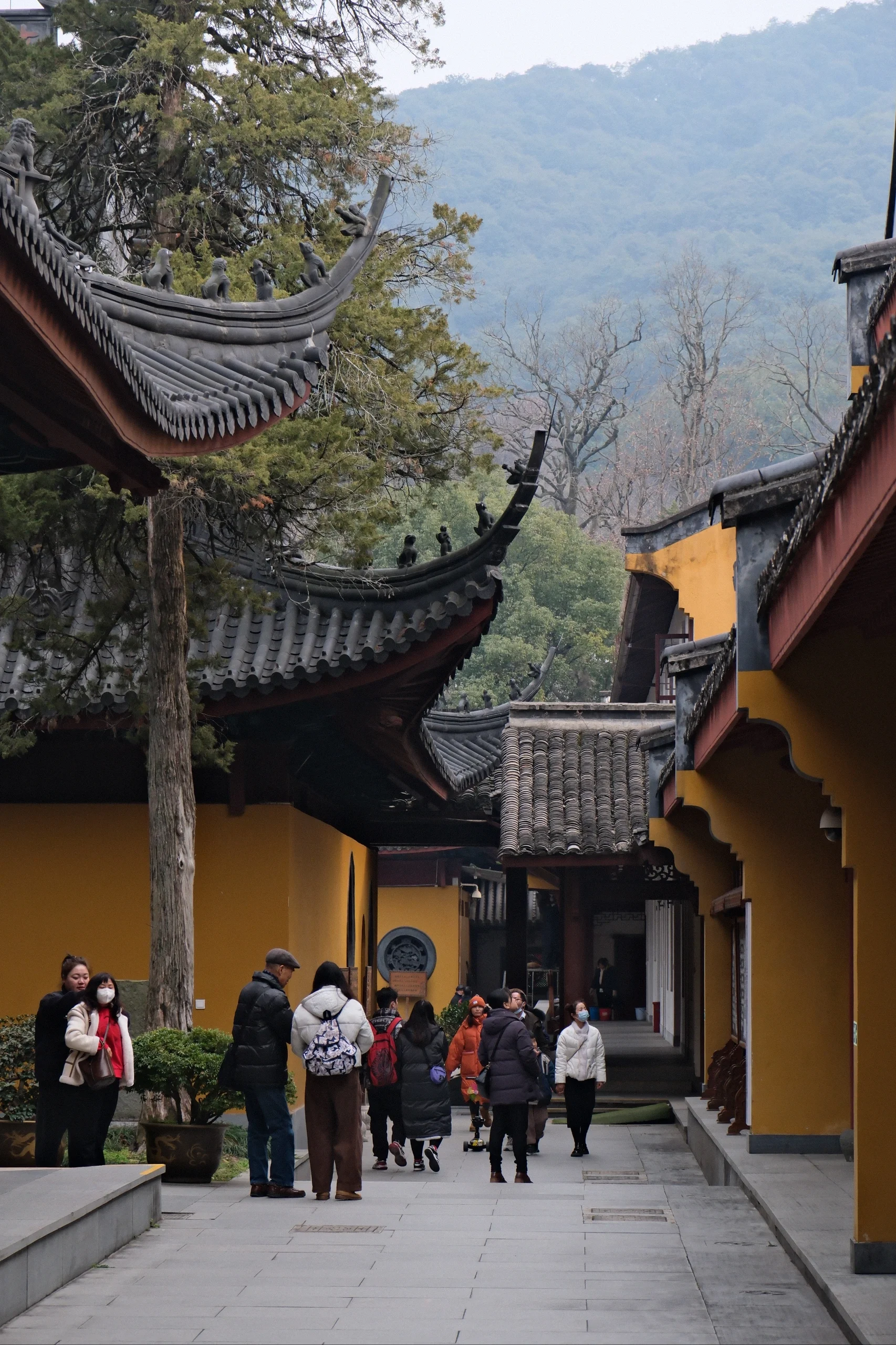 在杭州灵隐景区的三天竺法镜寺附近,有一处知名古迹名"三生石",当年