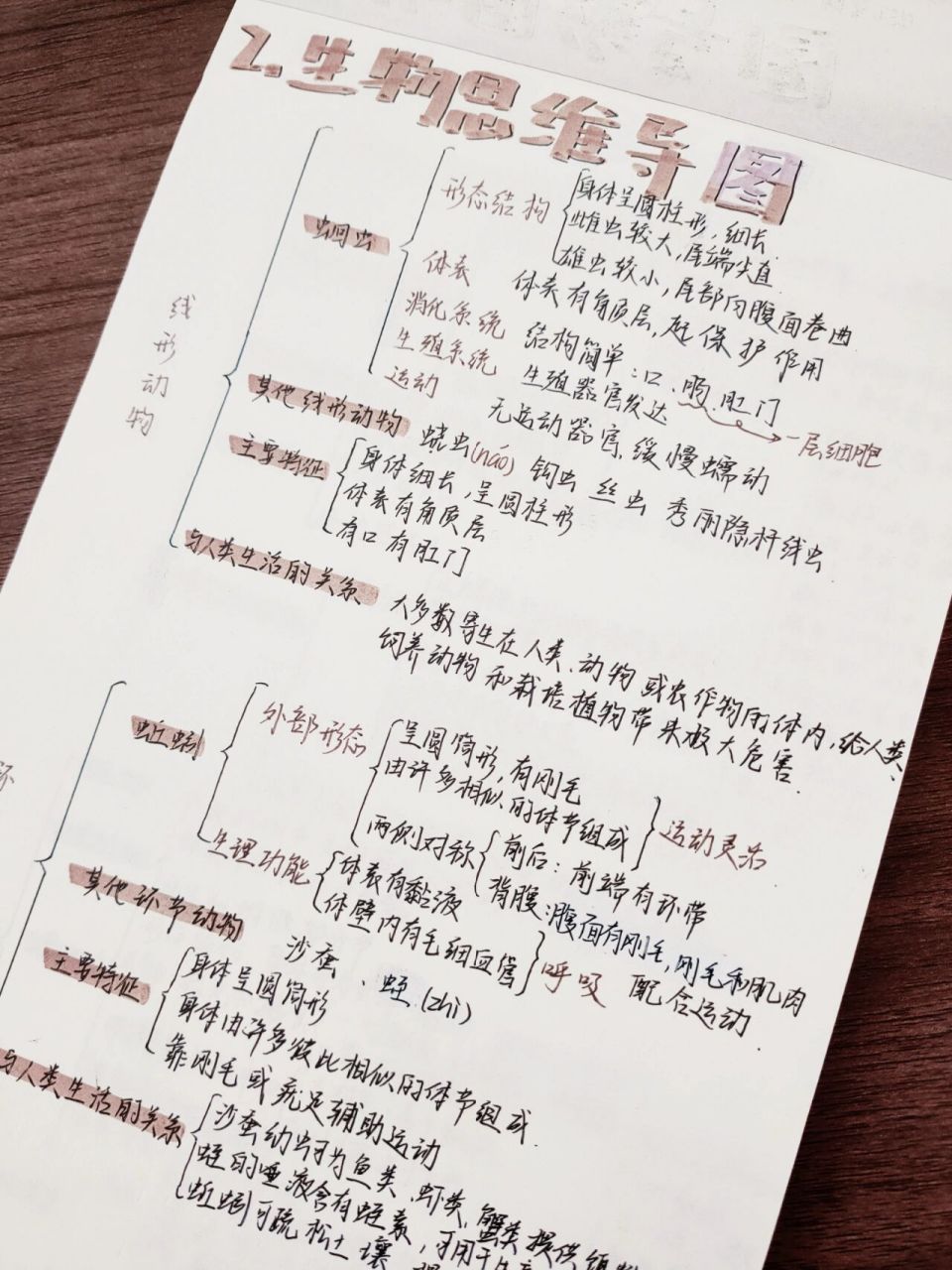 八上生物思维导图2 线形动物和环节动物