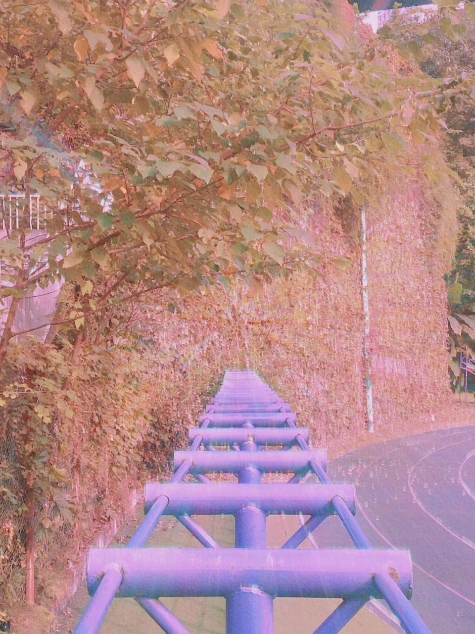 重庆南开(融侨)中学真的太美啦! 人才的沃土,院士的摇篮.