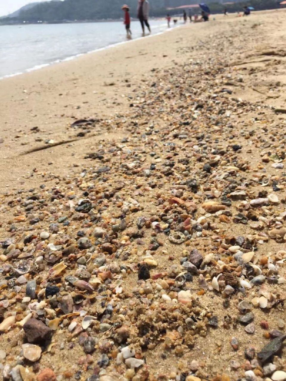 珠海亲子捡贝壳捡石头的沙滩 唐家滨海沙滩,人不算多,贝壳真的很多