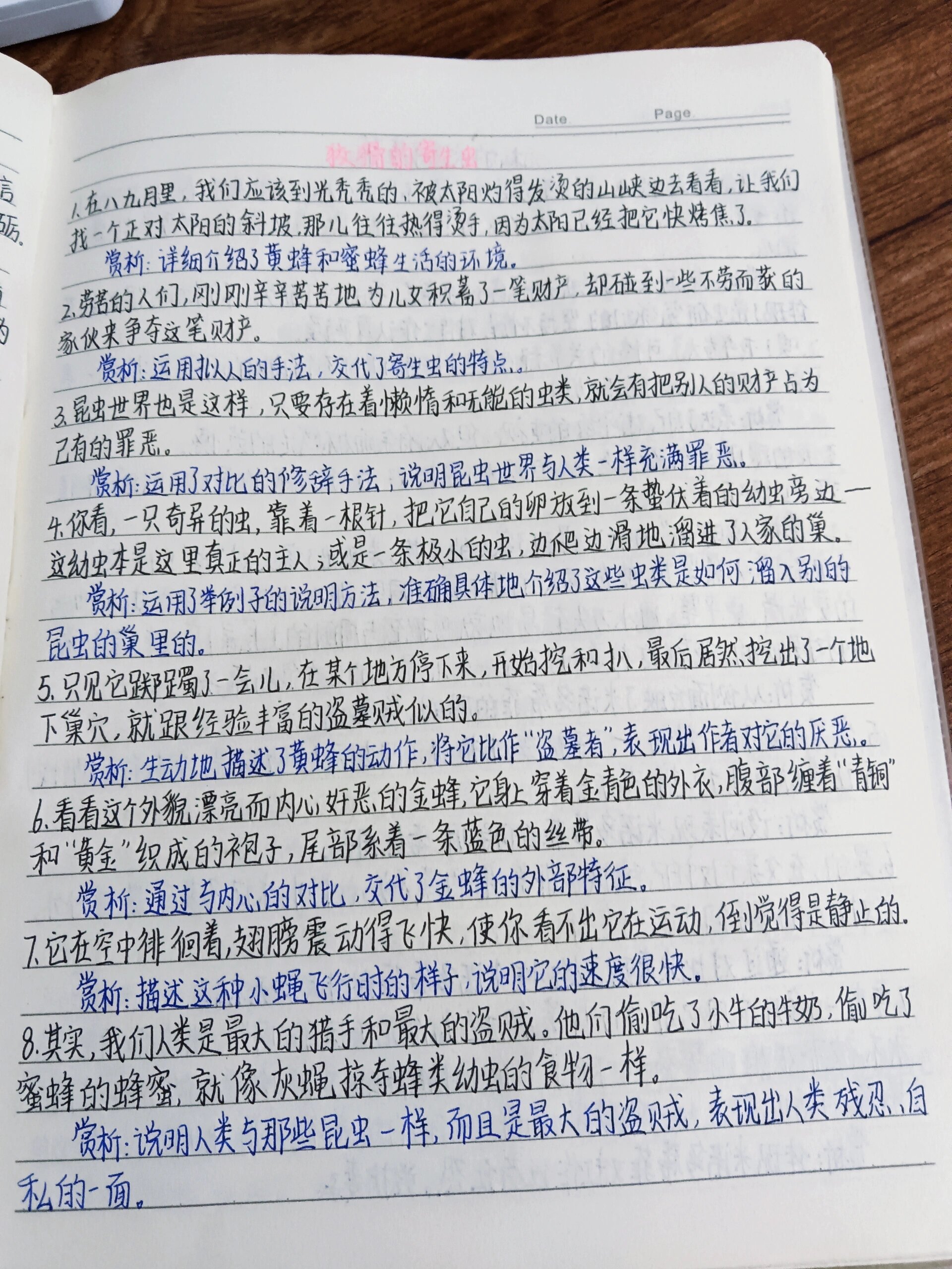 —寄生虫,米诺多蒂菲,松树鳃角金龟,樵叶蜂