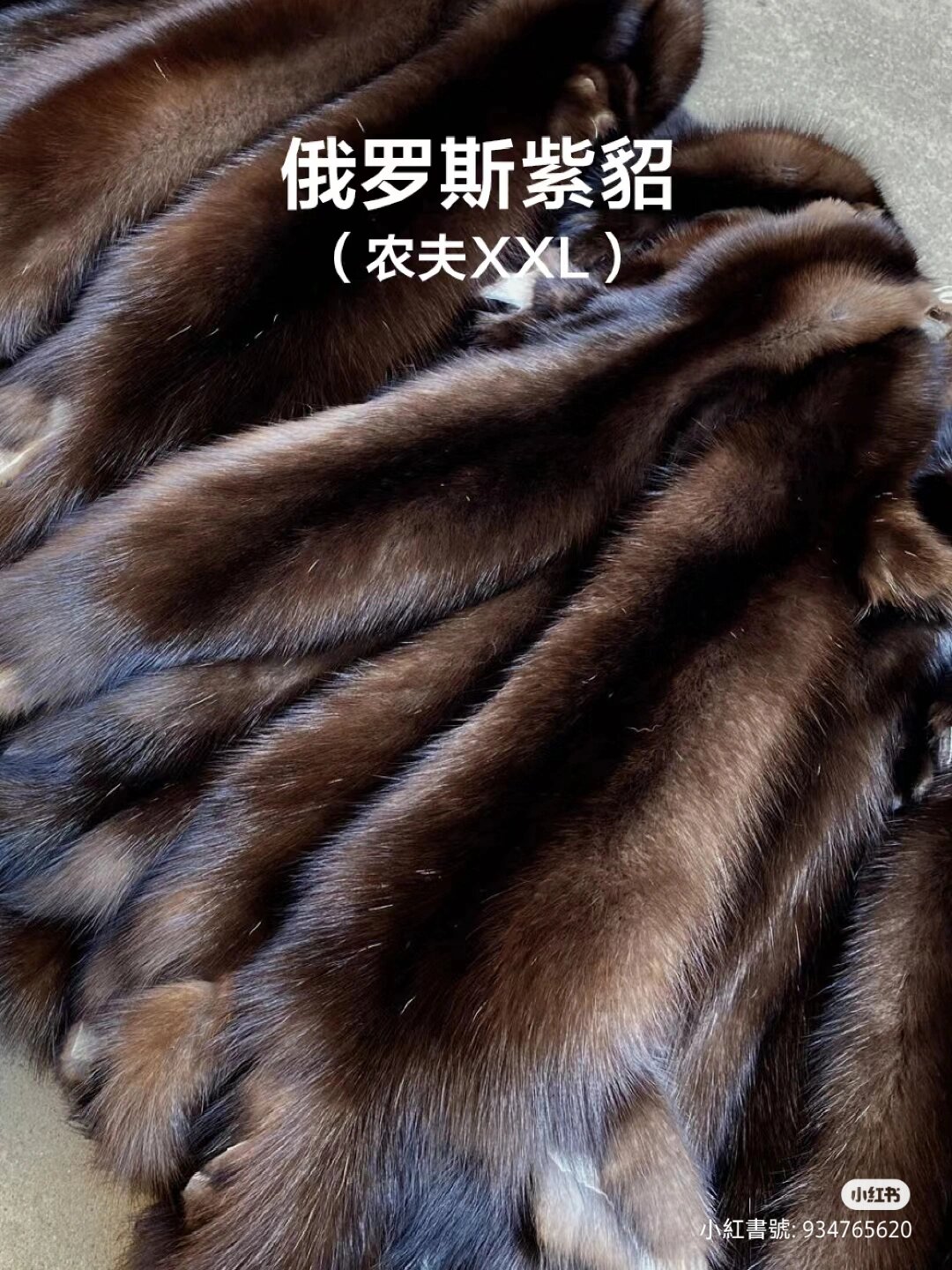 紫貂和普通水貂的区别