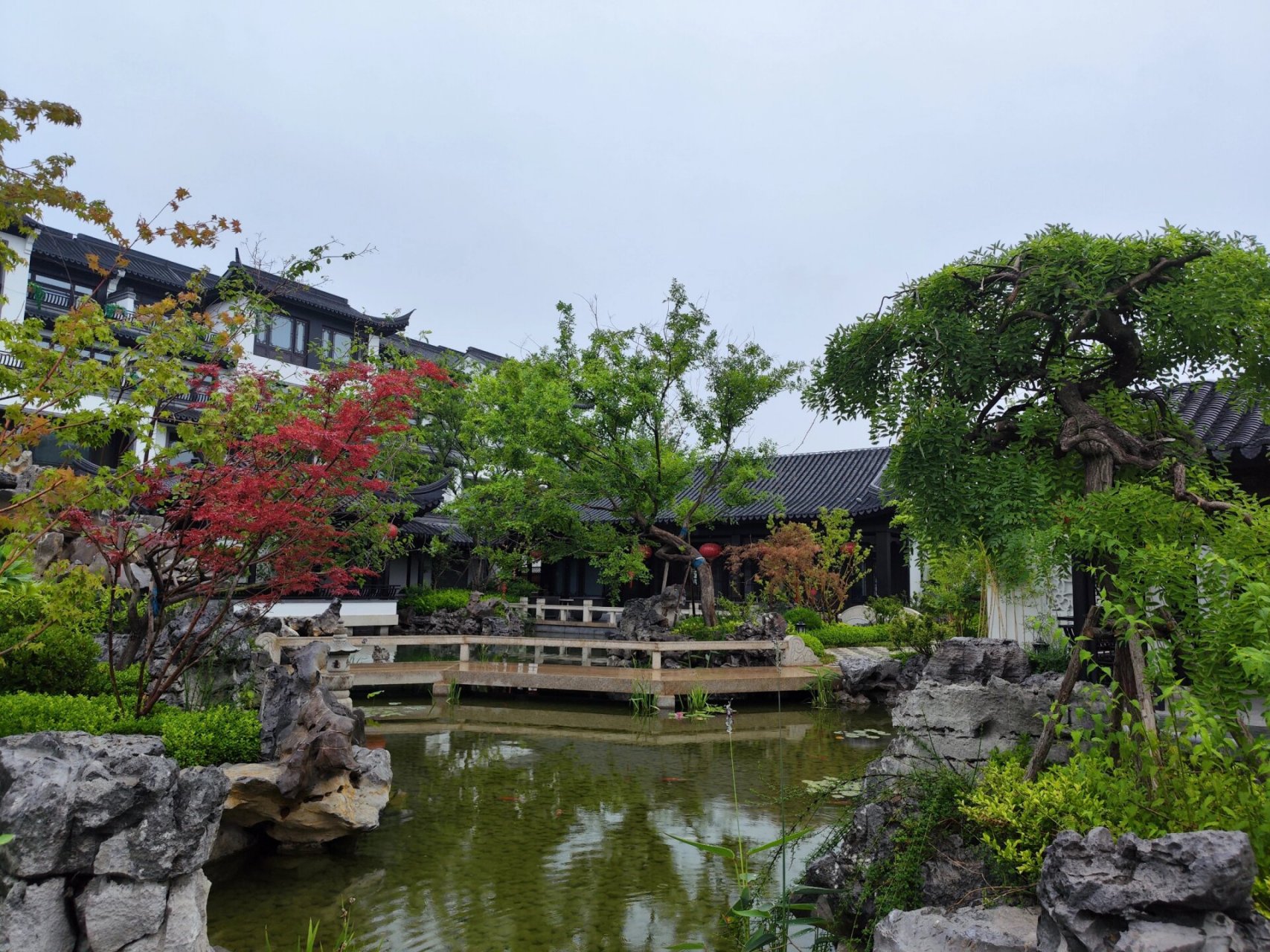 再见泰安郡安里