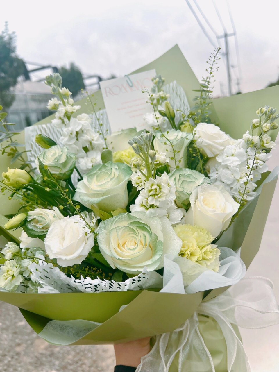 苏格兰玫瑰 治愈系花束 很淡雅 很舒服的配色 苏格兰玫瑰 加了洋桔梗