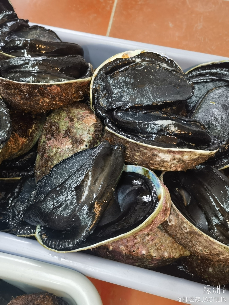 黑金鲍 正在准备100桌的晚宴! 等会就上菜.