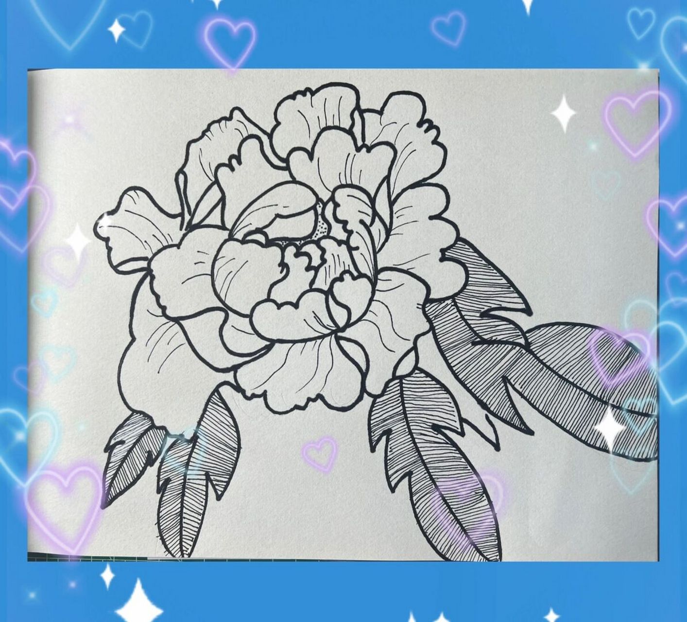 二年级小盆友昨天晚上的控笔作品牡丹,今天勾线画线条完成….