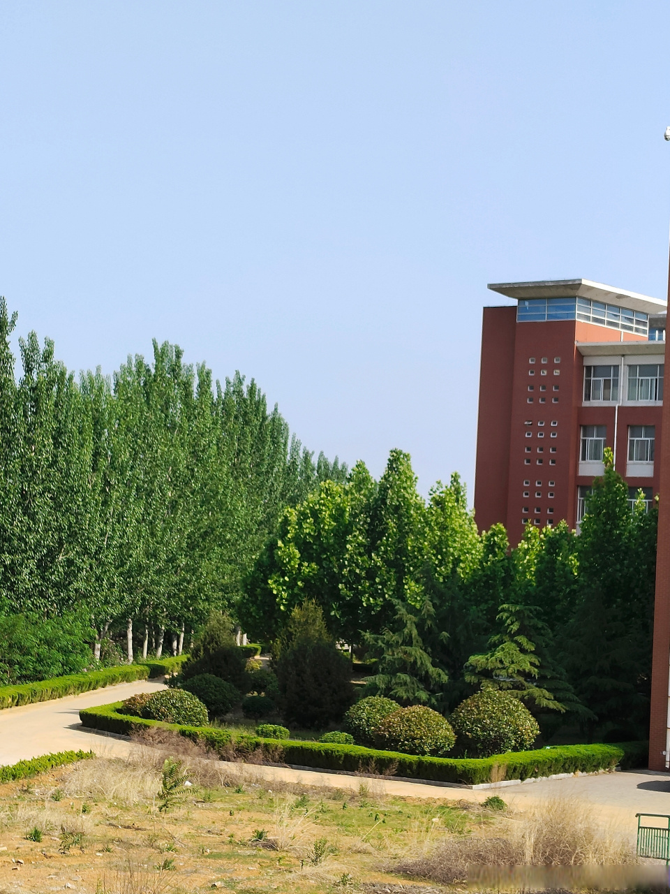 莱芜职业技术学院风景图片