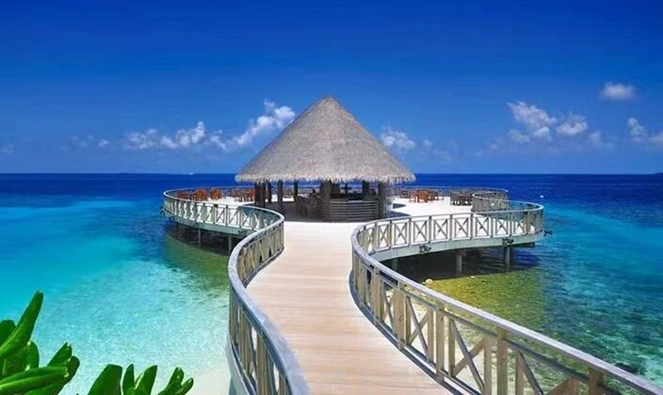 马尔代夫班度士岛bandos 附近有号称马尔代夫最好的潜水点,很多潜水