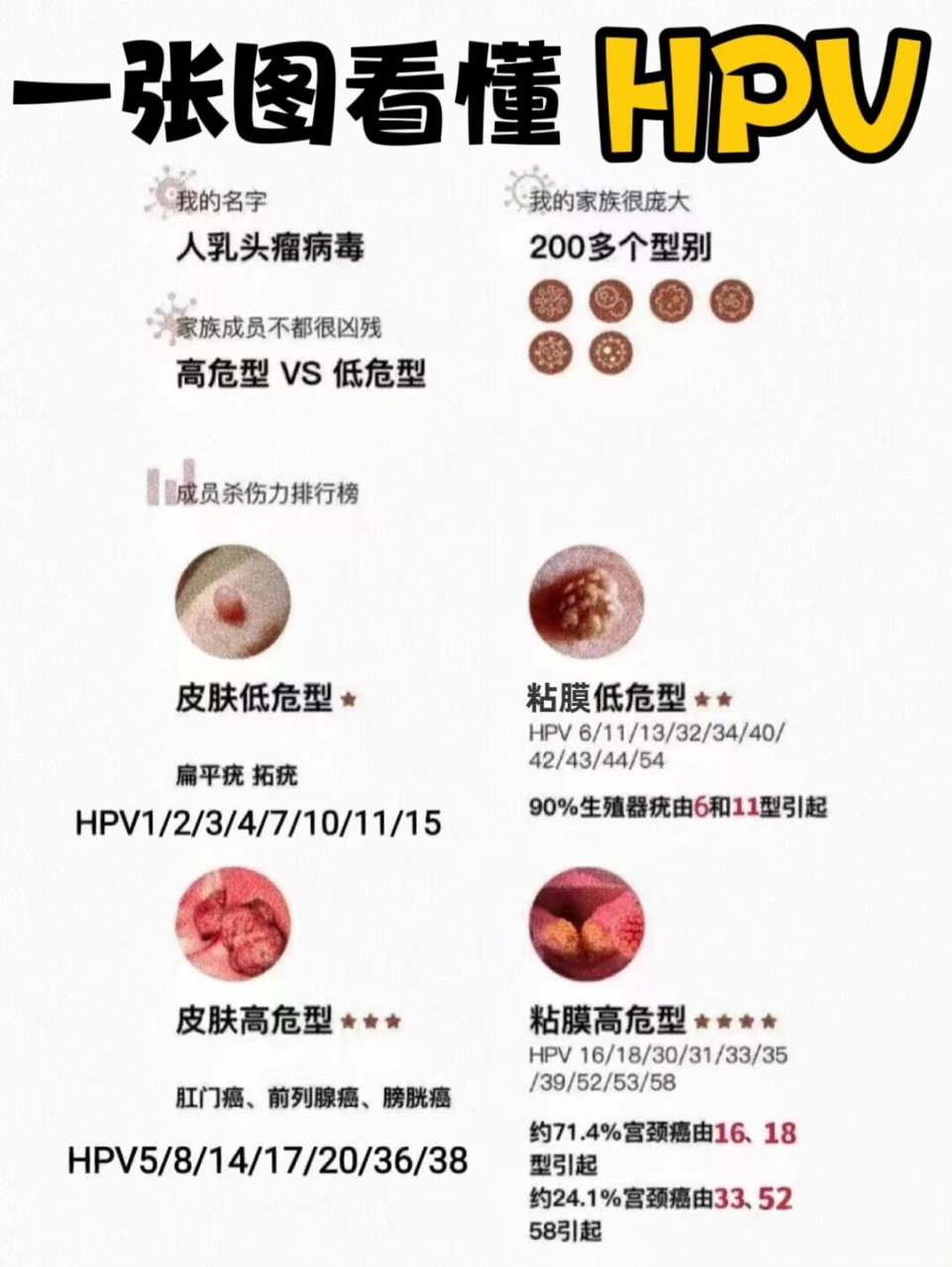 🦠hpv又称人乳头瘤病毒,在女性群体中有着非常高的感染率,70%-80%