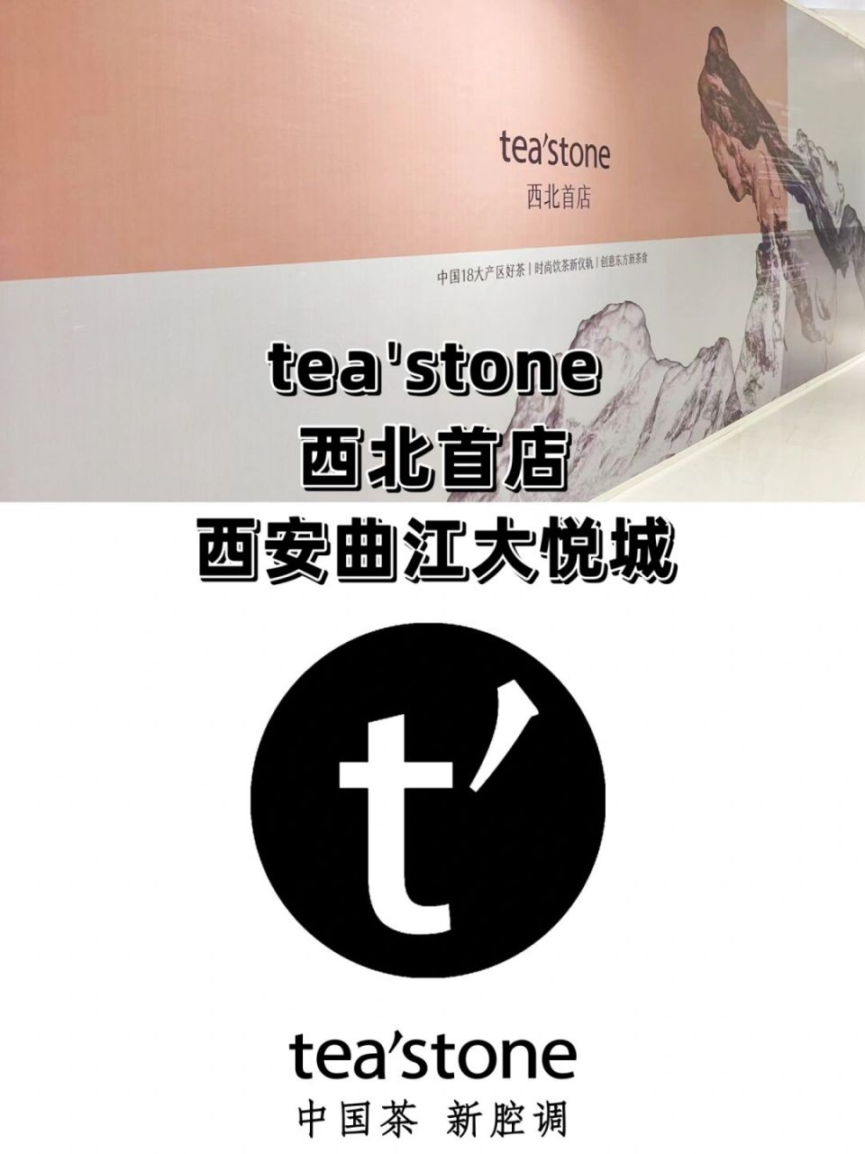 teastone创始人李姝图片