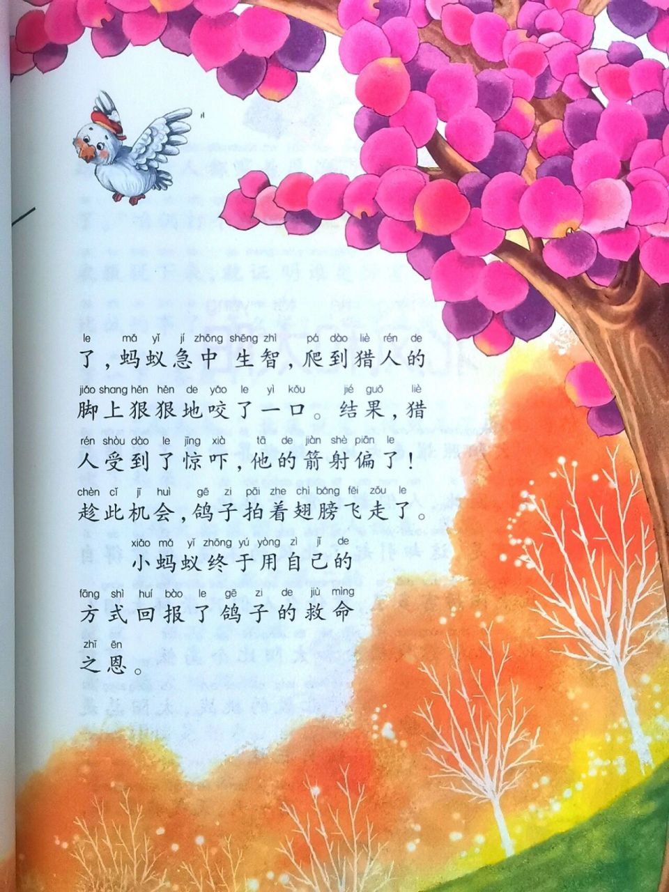 亲子阅读—报恩的蚂蚁 书名《宝宝最爱听的365夜睡前故事》—龚勋编