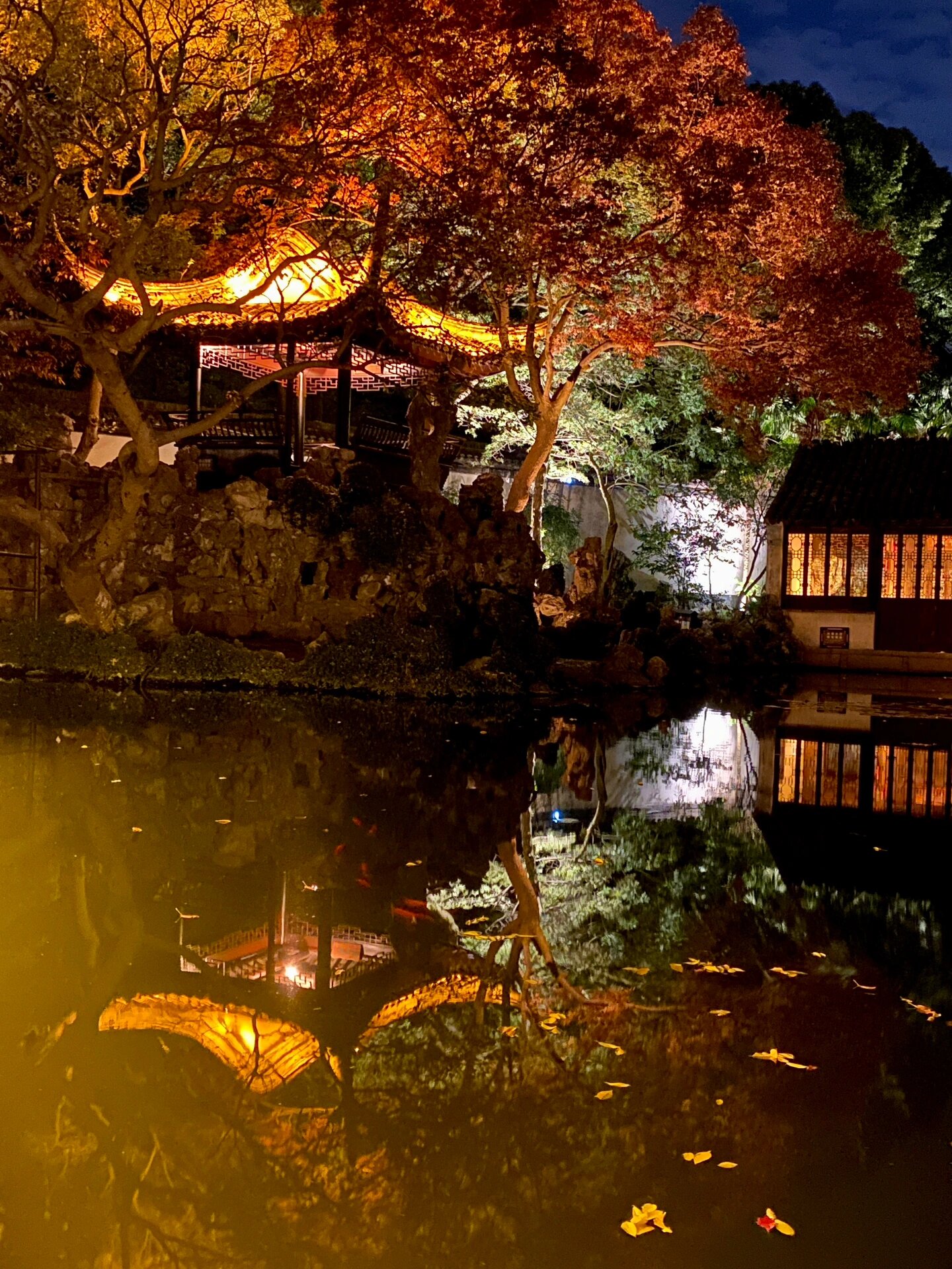 同里古镇退思园夜景