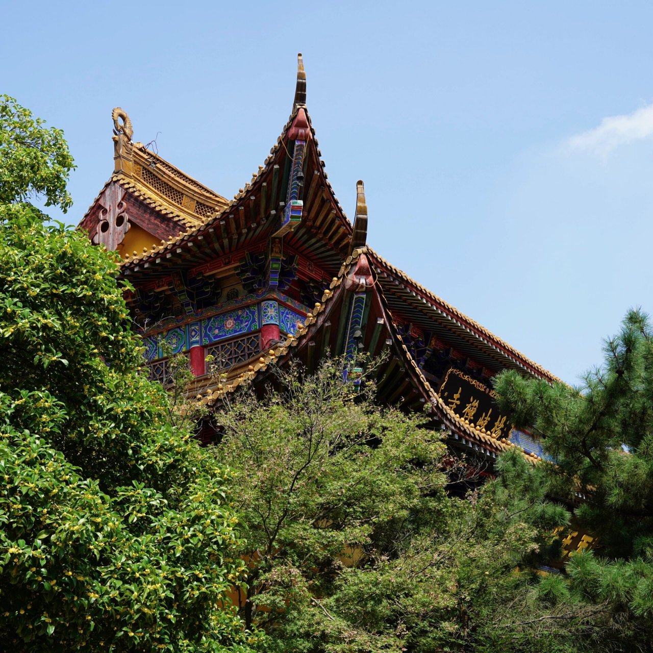 杨岐禅寺:探访千年古刹05990599 杨岐禅寺,始建于南宋嘉定二