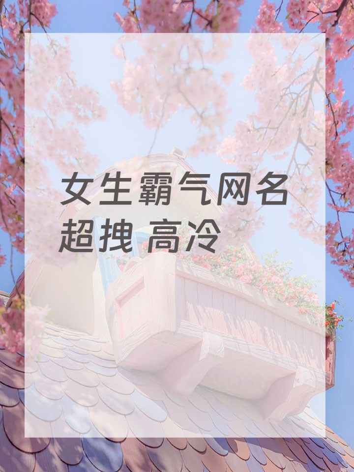 女生霸气网名 超拽 高冷