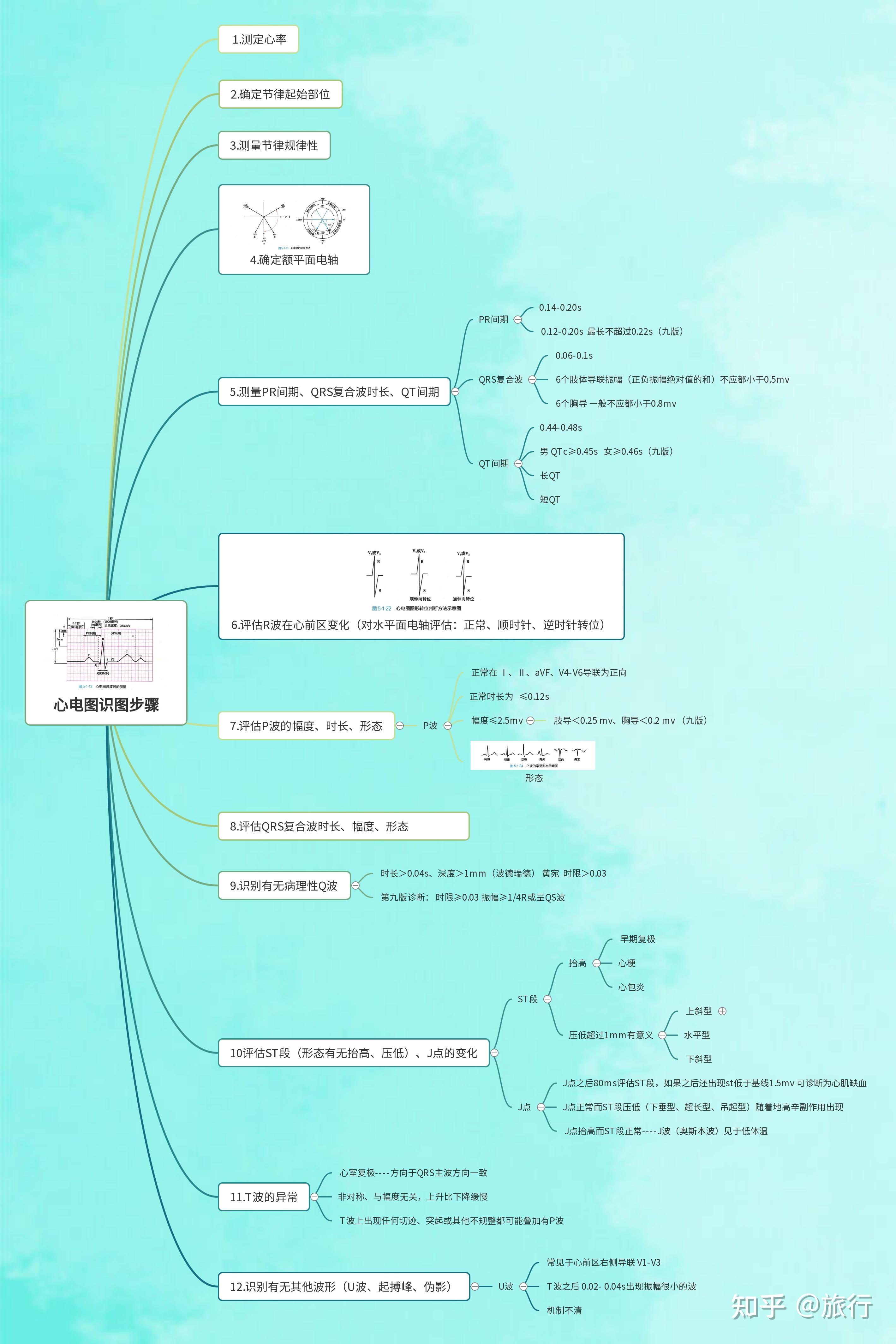 心电图识图步骤第九版诊断学一部分波德瑞德为主的思维导图