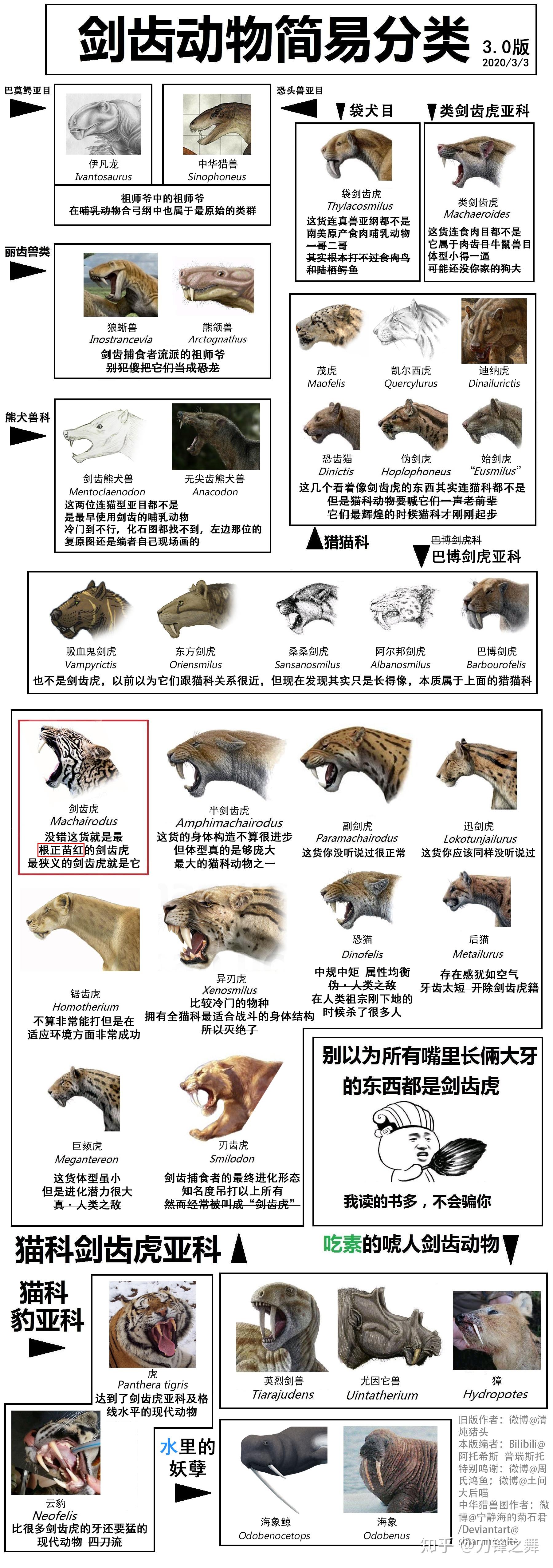 剑齿虎vs开普狮图片