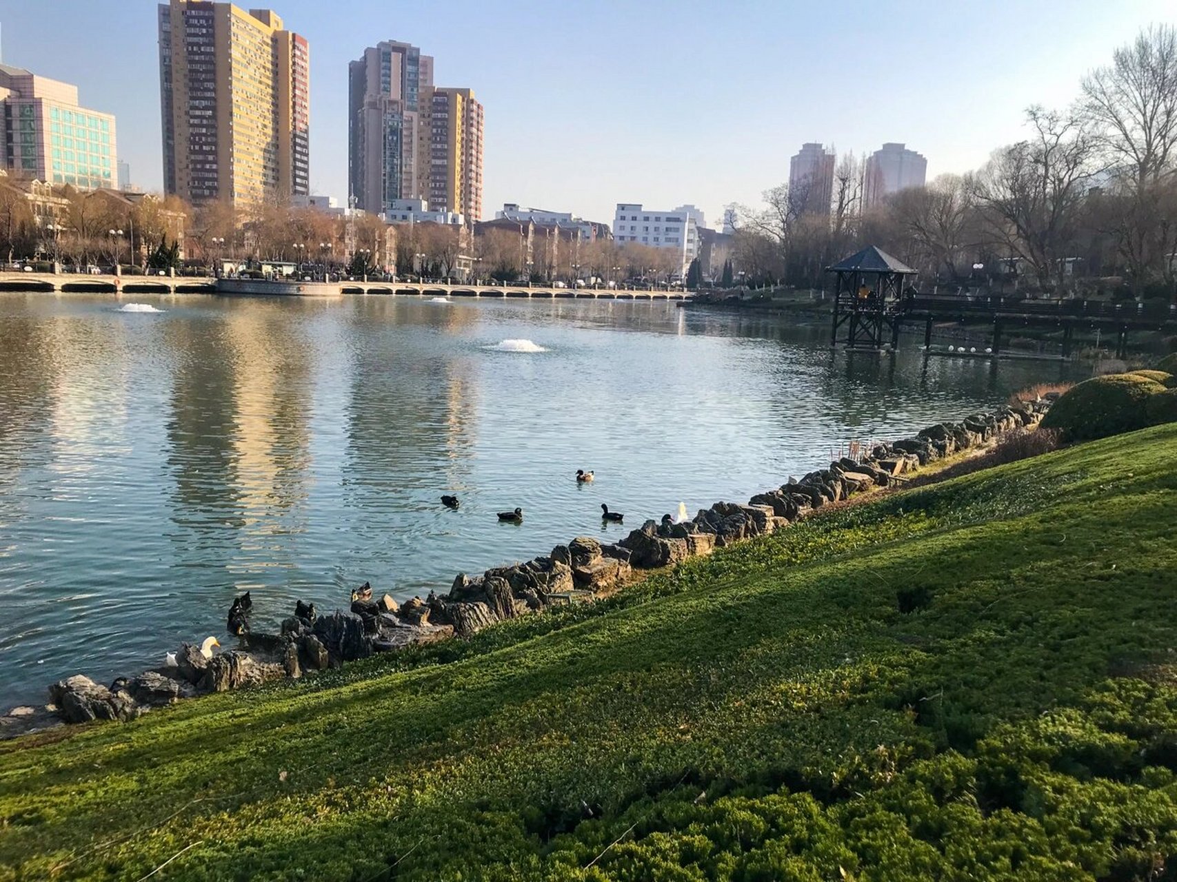 大连遛娃公园系列推荐『儿童公园』 大连儿童公园,因湖而建,占地 6.