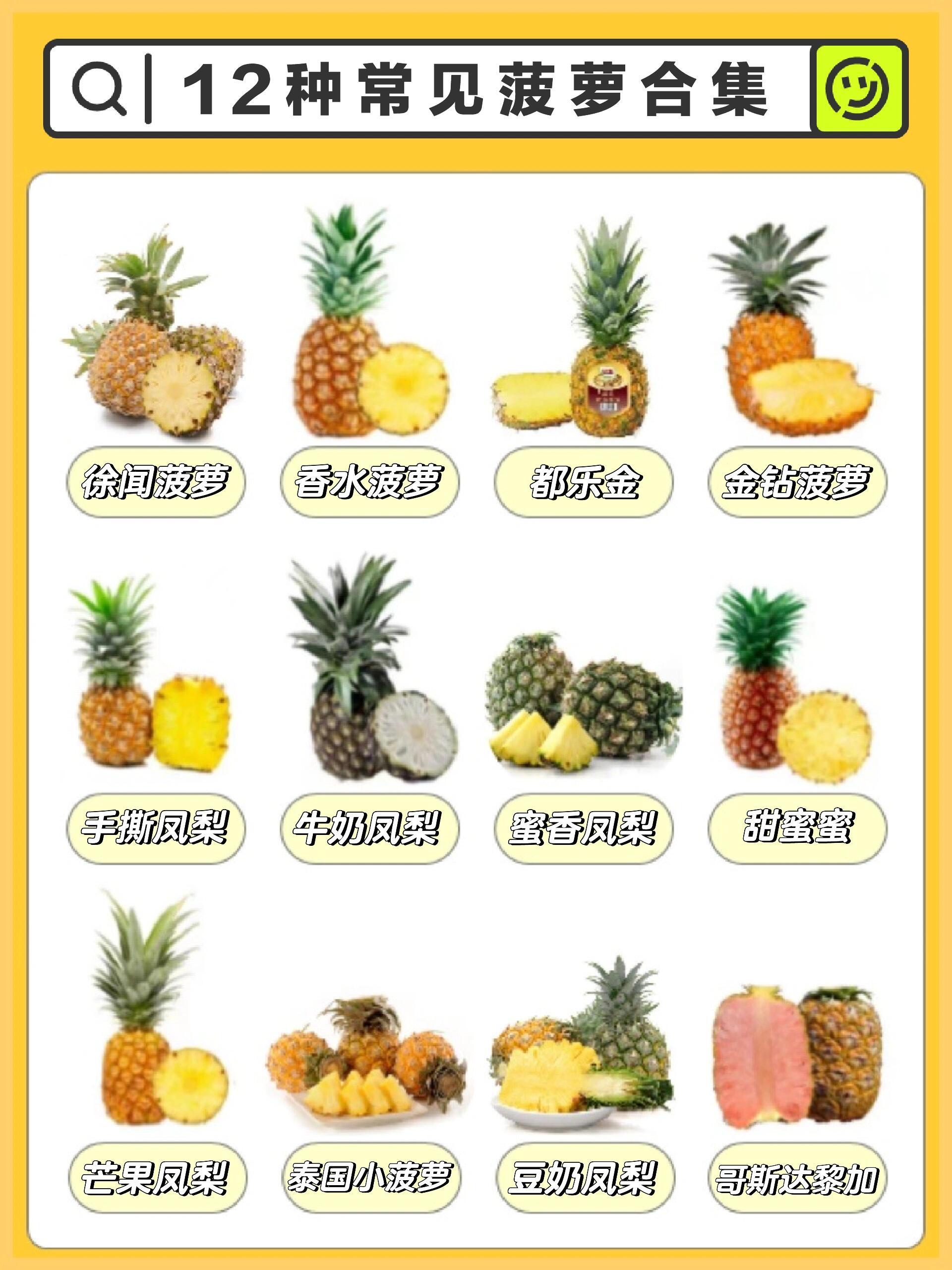 🍍常见菠萝凤梨合集