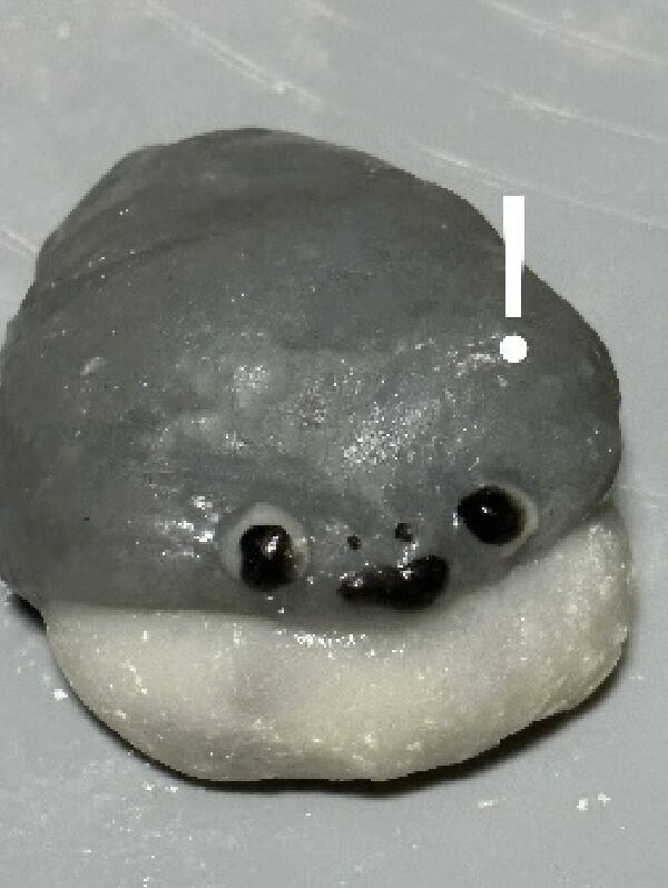 分份调色后,眼里不揉沙子成语有哪些揉一揉表情九十年代有糯米粉馅料