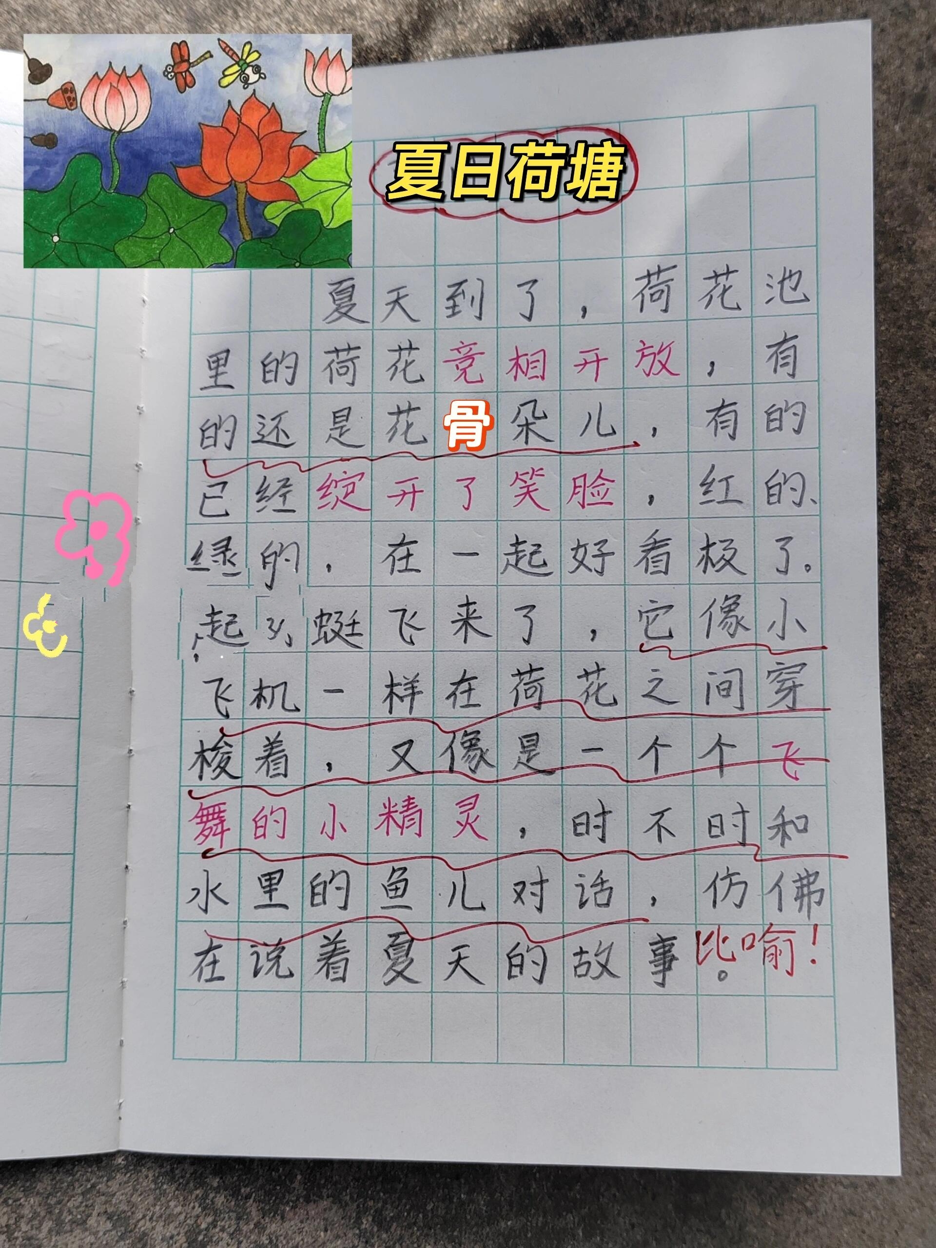 一年级语文看图写话‖《夏日荷塘》
