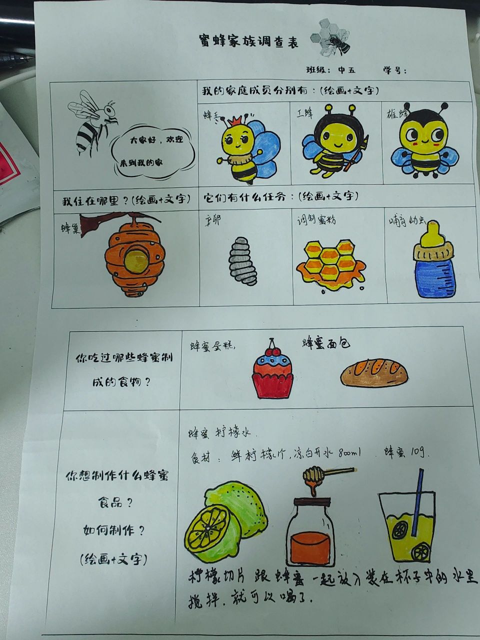 蜜蜂资料卡小学生图片