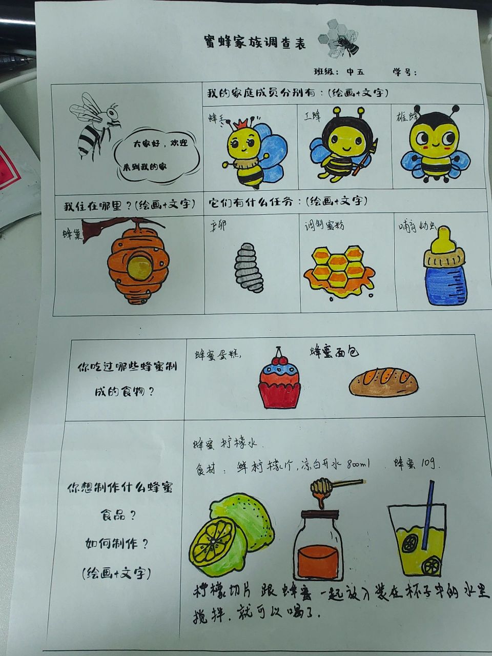 中班蜜蜂家族调查表 中班蜜蜂家族调查表