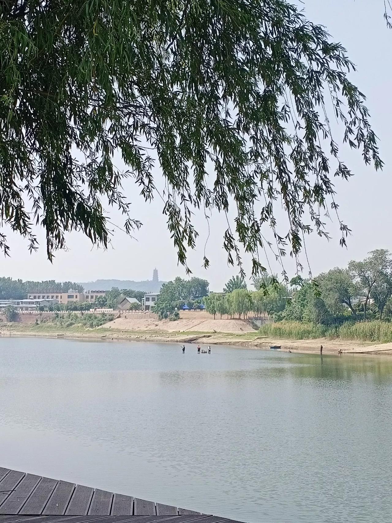 今日头条能发实况照片了 现在汝河的水位如何呢?